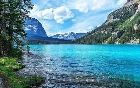 91精品国产观看在线麻豆制片-解锁文化新视窗，91精品国产内容观看与麻豆制片的独特魅力