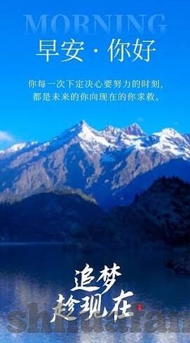 麻豆精视频-麻豆精视频，新媒体时代下内容创作的鲜活案例