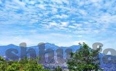 糖心直播app安卓版下载-探索糖心直播——安卓版下载的魅力与用法